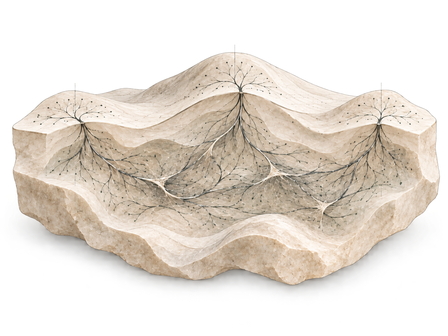 A limestone forest floor cutaway reveals branching mycelium and roots: connected knowledge beneath the surface.